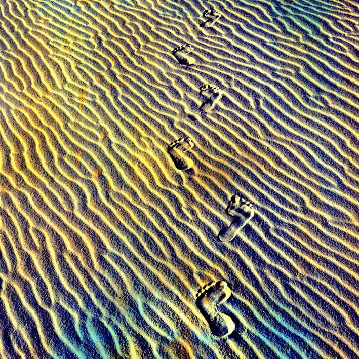 388008_10150437476724163_321577759_n