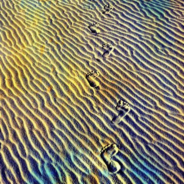 388008_10150437476724163_321577759_n