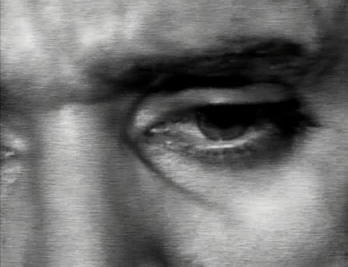 tumblr_n3vd2eQ83q1qb7q6fo1_500